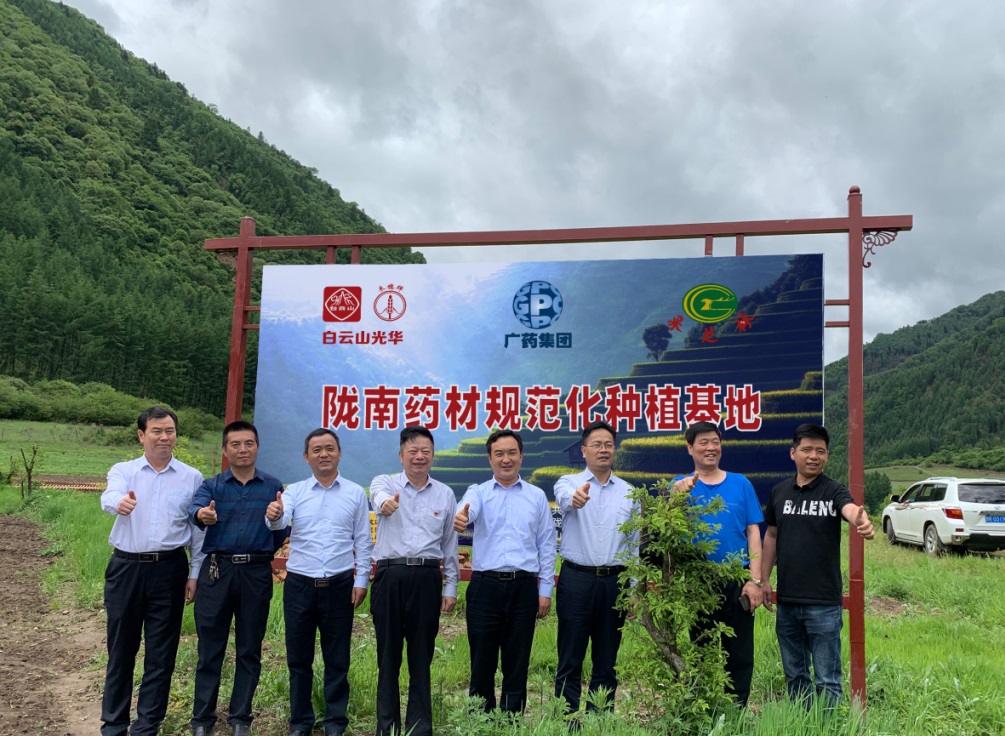 藥材好，藥才好 ——白云山小柴胡顆粒北柴胡規(guī)范化種植基地正式揭牌！
